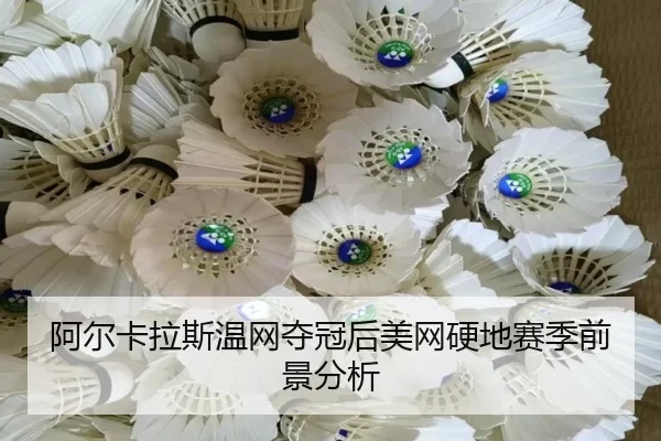 a-er-ka-la-si-wen-wang-duo-guan-hou-mei-wang-ying-di-sai-ji-qian-jing-fen-xi-2-613.jpg